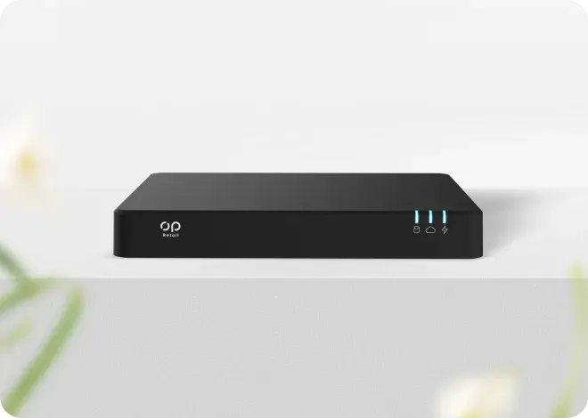 opretail-Network video recorder (NVR)